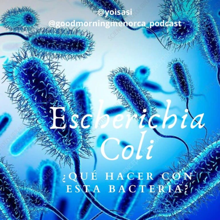 Escherichia Coli ¿Qué hacer con esta bacteria?